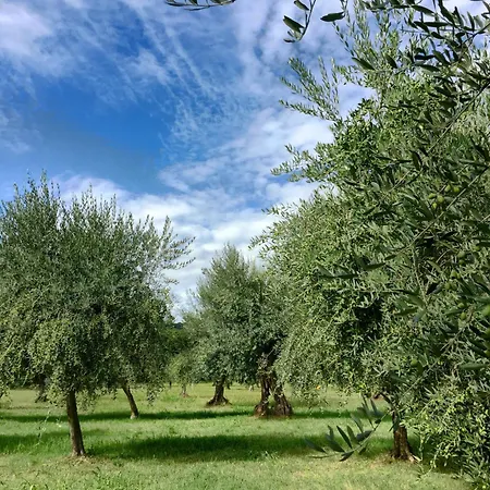 Apartamento Il Piratello - Baldeschi *
